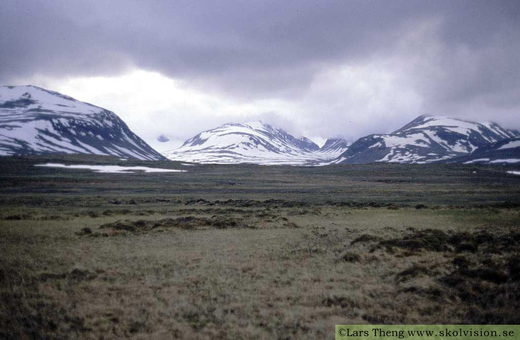 11 mellanalpin Sarek