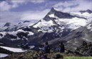 13 högalpin jotunheimen